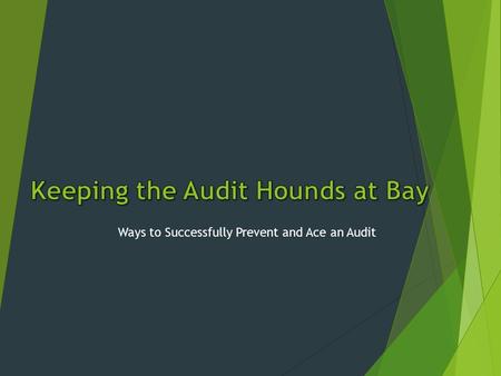 Keeping the Audit Hounds at Bay