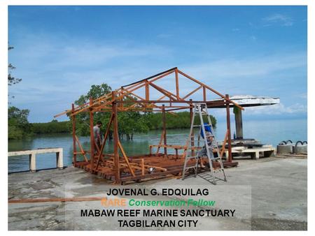 JOVENAL G. EDQUILAG RARE Conservation Fellow MABAW REEF MARINE SANCTUARY TAGBILARAN CITY.