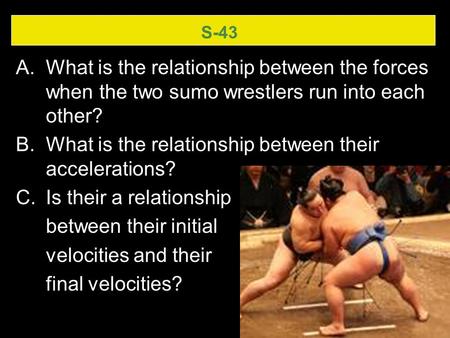 S-43 A.What is the relationship between the forces when the two sumo wrestlers run into each other? B.What is the relationship between their accelerations?