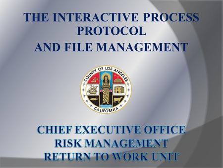 THE INTERACTIVE PROCESS PROTOCOL AND FILE MANAGEMENT.