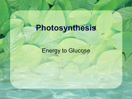 Photosynthesis Energy to Glucose.