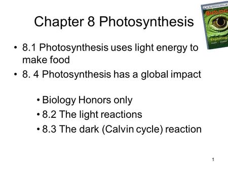 Chapter 8 Photosynthesis