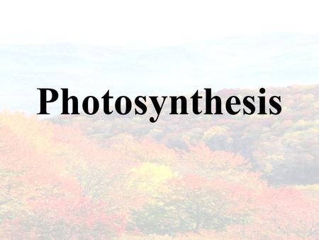 Photosynthesis.