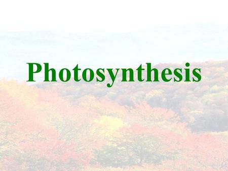 Photosynthesis.