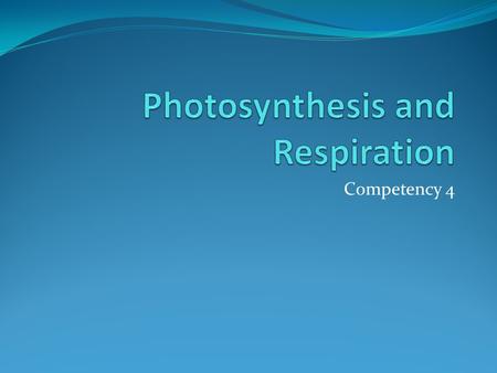 Photosynthesis and Respiration