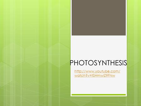 PHOTOSYNTHESIS http://www.youtube.com/watch?v=tSHmwIZ9FNw.