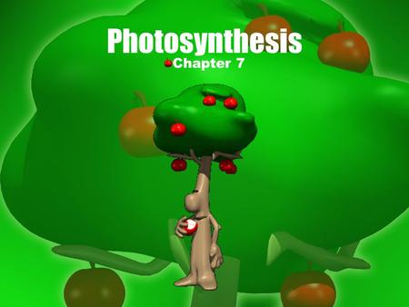 Chapter 7 Photosynthesis. Overview of Photosynthesis chem rx produces sugar in presence of light 6CO 2 + 12H 2 O  C 6 H 12 O 6 + 6O 2 + H 2 O Requires: