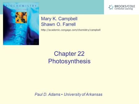 Photosynthesis Photosynthetic organisms carry out the reaction