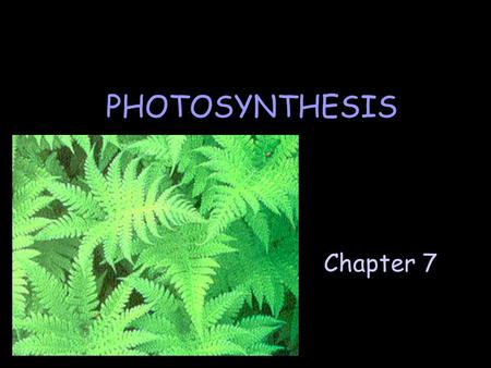 Chapter 7 PHOTOSYNTHESIS. Life Depends on Photosynthesis ] What if there is a nuclear winter? F What is it F What would cause it? F What are the repercussions?