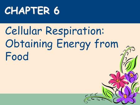 Cellular Respiration: Obtaining Energy from Food