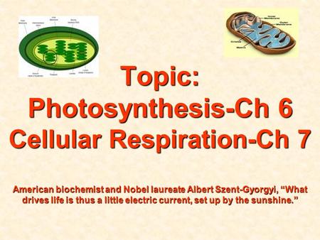 Topic: Photosynthesis-Ch 6 Cellular Respiration-Ch 7 American biochemist and Nobel laureate Albert Szent-Gyorgyi, “What drives life is thus a little.