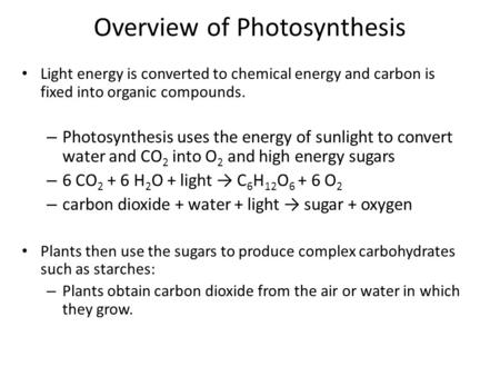 Overview of Photosynthesis