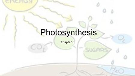 Photosynthesis Chapter 6.