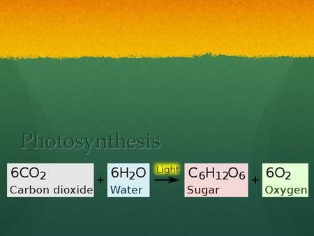 Photosynthesis. Basic Photosynthesis Write an equation with all the words in this picture.