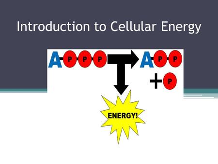 Introduction to Cellular Energy. Energy! Energy! Everyone needs it. Why? Where does almost all of the energy for living systems come from? The SUN! Autotrophs.