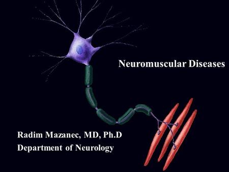 Neuromuscular Diseases Radim Mazanec, MD, Ph.D Department of Neurology.