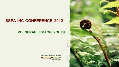 SSPA INC CONFERENCE 2012 VULNERABLE MÄORI YOUTH. 2 WHERE ARE WE TODAY? A SNAPSHOT  NZ’s youth suicide rate is the second highest of 13 OECD countries,