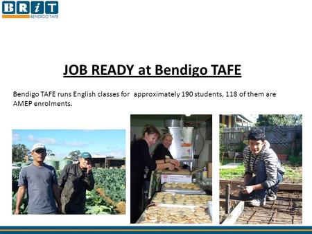 JOB READY at Bendigo TAFE Bendigo TAFE runs English classes for approximately 190 students, 118 of them are AMEP enrolments.