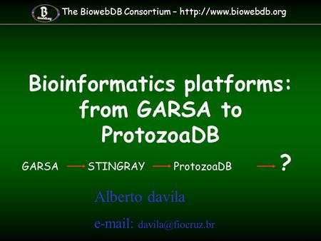 Bioinformatics platforms: from GARSA to ProtozoaDB The BiowebDB Consortium –  GARSA STINGRAY ProtozoaDB ? Alberto davila