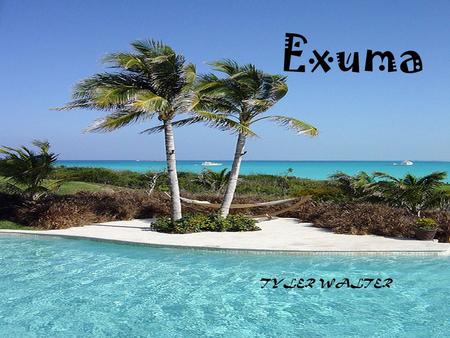 Exuma TYLER WALTER. Hotel Room Hotel price 1 room, 4 nights ($175.00 avg/night) $700.00 Taxes & fees $90.04 Deluxe waterfront queen-Breakfast Plan Queens.