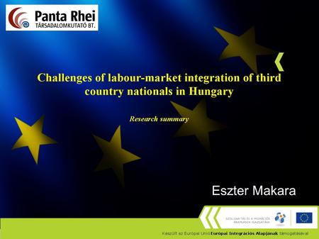 Eszter Makara. Employment Strengthening role of specific pull factors Decreasing importance of primary economic factors Over half of non- Hungarians.