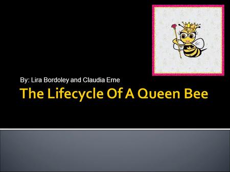 By: Lira Bordoley and Claudia Erne. 2 Metamorphosis of the Queen Bee EggHatches on Day 3 Larva (Several Moltings)Day 3 - Day 8.5 Queen Cell capped~Day.