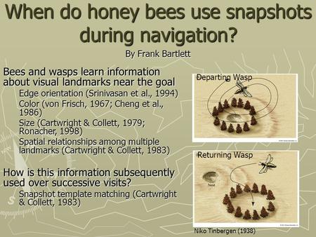 When do honey bees use snapshots during navigation? By Frank Bartlett Bees and wasps learn information about visual landmarks near the goal Edge orientation.