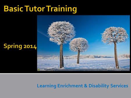 Learning Enrichment & Disability Services.  Introductions  Expectations  Being a Role Model  How People Learn  First Session  Tutoring Strategies.