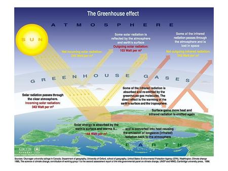 What Can Be Done Measures -- heavily dependent on teamwork and political will -- can slow the rate of global warming and help the world.