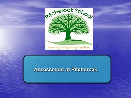 Assessment at Pitcheroak. Learning Objectives… To understand what the different assessment tools are called at Pitcheroak To understand that assessment.