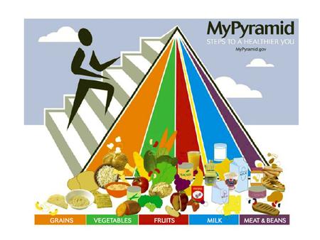 Activity Moderation Personalization Proportionality Variety Gradual Improvement.