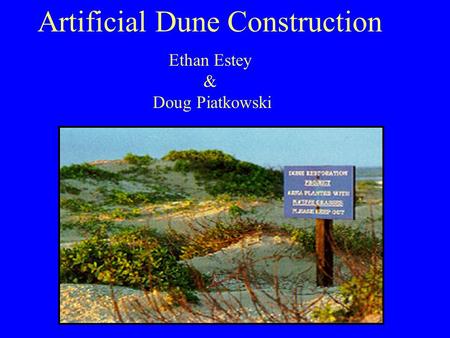 Artificial Dune Construction