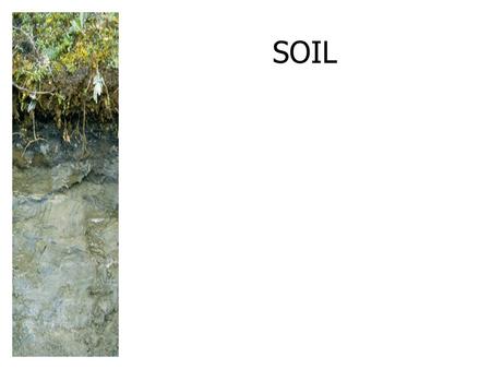 SOIL. Texture by Feel Fine Textured Soil Large amounts of silt and clay, making it muddy when wet Pore spaces are small, but numerous and hold more.