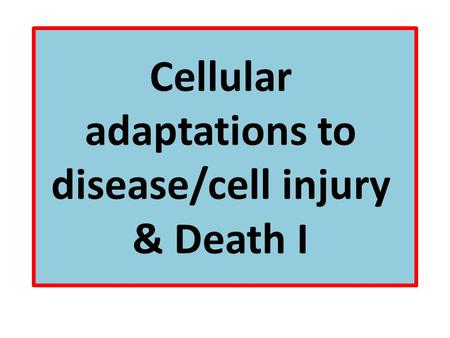 Cellular adaptations to disease/cell injury & Death I