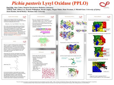 PPLO is a copper-containing amine oxidase from the yeast P. pastoris. In contrast to the structurally characterized CAOs, PPLO has similar substrate specificity.