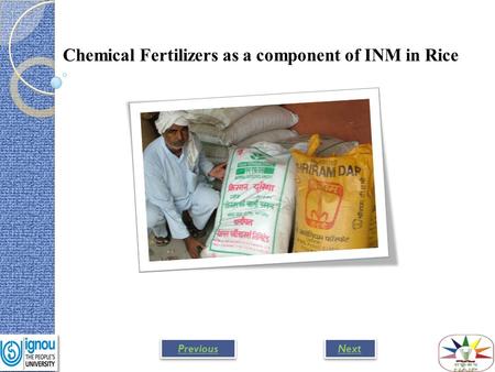 Chemical Fertilizers as a component of INM in Rice