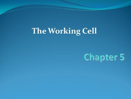 The Working Cell. Enzymes Membrane proteins function as receptors, transporters and enzymes Membranes Are a Fluid Mosaic of Phospholipids and Proteins.