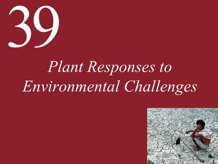 Plant Responses to Environmental Challenges