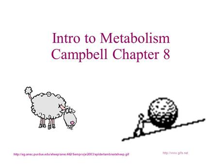 Intro to Metabolism Campbell Chapter 8