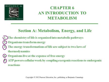 CHAPTER 6 AN INTRODUCTION TO METABOLISM Copyright © 2002 Pearson Education, Inc., publishing as Benjamin Cummings Section A: Metabolism, Energy, and Life.