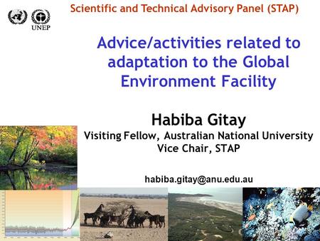 Advice/activities related to adaptation to the Global Environment Facility Habiba Gitay Visiting Fellow, Australian National University Vice Chair, STAP.