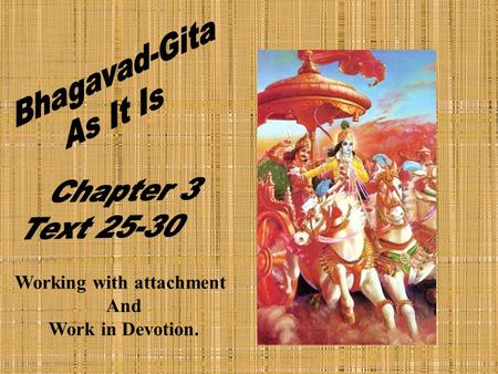 Working with attachment And Work in Devotion.. Text 25 saktäù karmaëy avidväàso yathä kurvanti bhärata kuryäd vidväàs tathäsaktaç cikérñur loka-saìgraham.