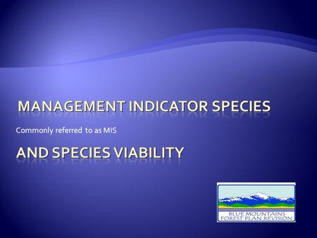 Commonly referred to as MIS.  From the 1982 planning regulations 36 CFR 219.19(a)(1)- “… certain vertebrate and/or invertebrate species present in the.