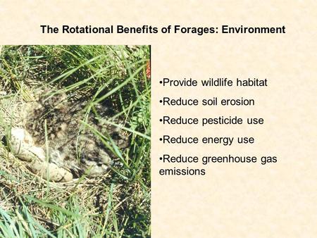 The Rotational Benefits of Forages: Environment Provide wildlife habitat Reduce soil erosion Reduce pesticide use Reduce energy use Reduce greenhouse gas.