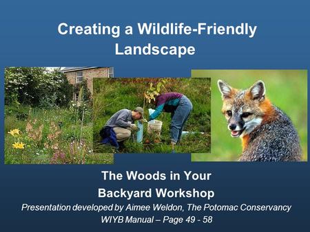 Creating a Wildlife-Friendly Landscape The Woods in Your Backyard Workshop Presentation developed by Aimee Weldon, The Potomac Conservancy WIYB Manual.