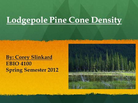 Lodgepole Pine Cone Density By: Corey Slinkard EBIO 4100 Spring Semester 2012.