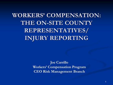 Workers’ Compensation Program CEO Risk Management Branch