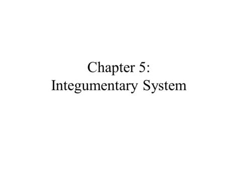 Chapter 5: Integumentary System. 1 2 3Bellringer 9/11/09: Identify the 3 different layers of this skin.