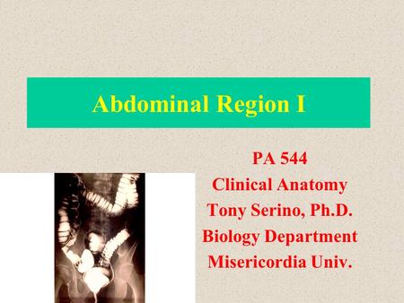 Abdominal Region I PA 544 Clinical Anatomy Tony Serino, Ph.D. Biology Department Misericordia Univ.