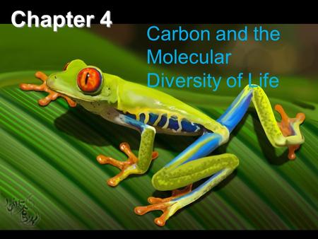 Chapter 4 Carbon and the Molecular Diversity of Life.